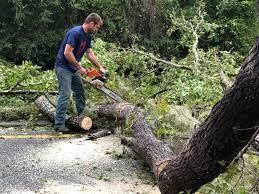 Best Leaf Removal  in Freeland, WA