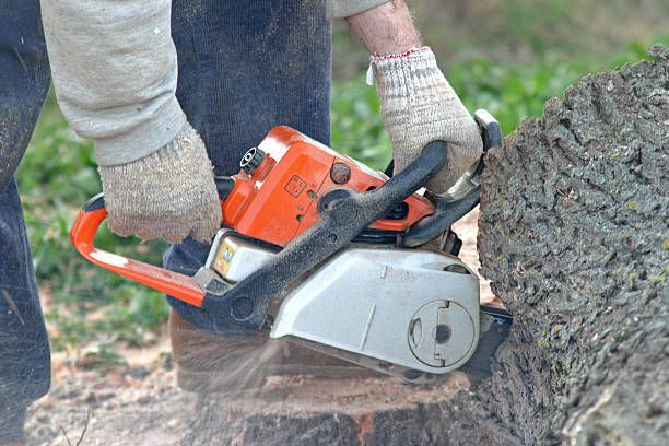 Mulching Services in Freeland, WA